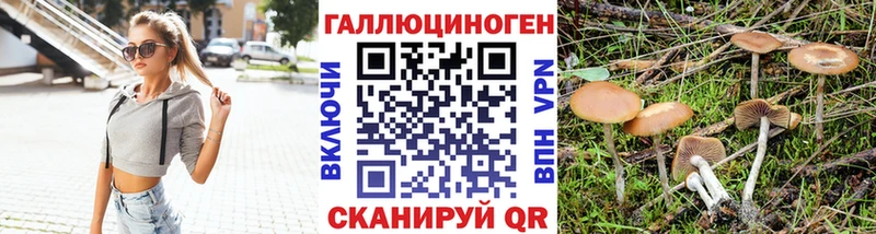 наркотики  Плавск  мега рабочий сайт  Псилоцибиновые грибы Psilocybe 